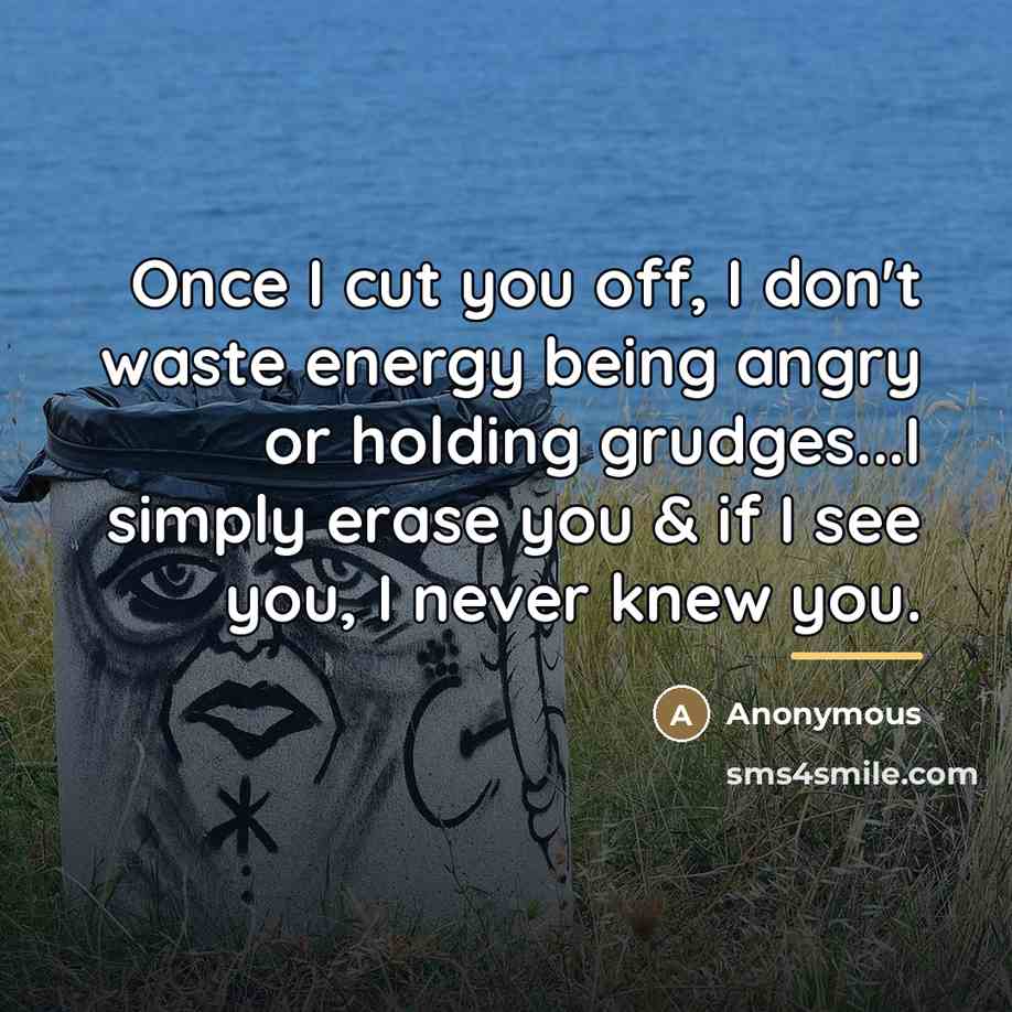 “Once I cut you off, I don't waste energy being…” quote by Anonymous