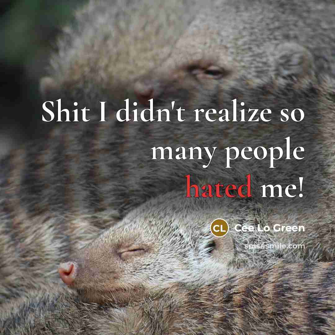 “Shit I didn't realize so many people hated me!…” quote by Cee Lo Green