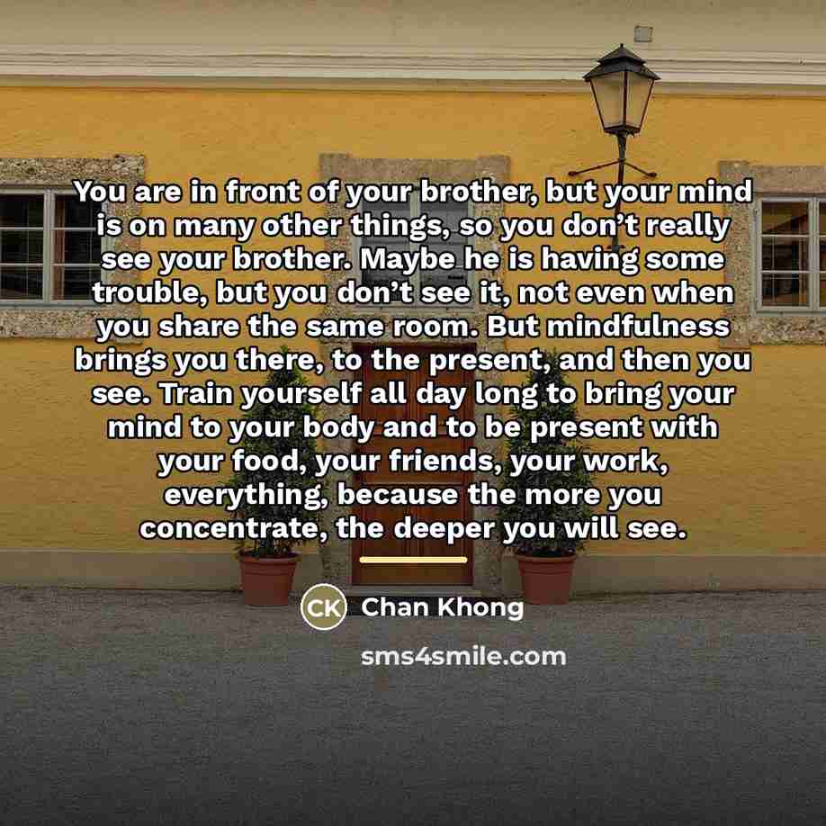 “You are in front of your brother, but your mind…” quote by Chan Khong