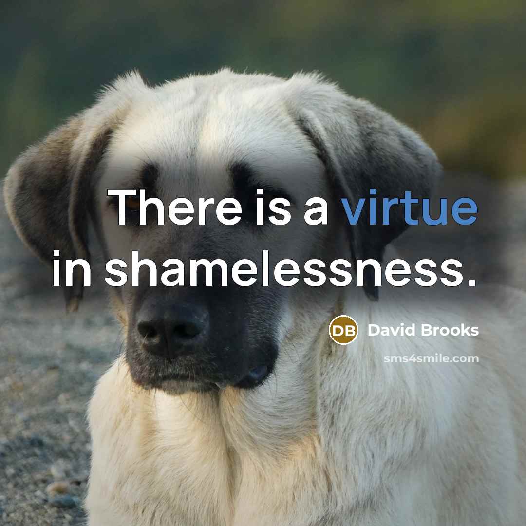 “There is a virtue in shamelessness.…” quote by David Brooks