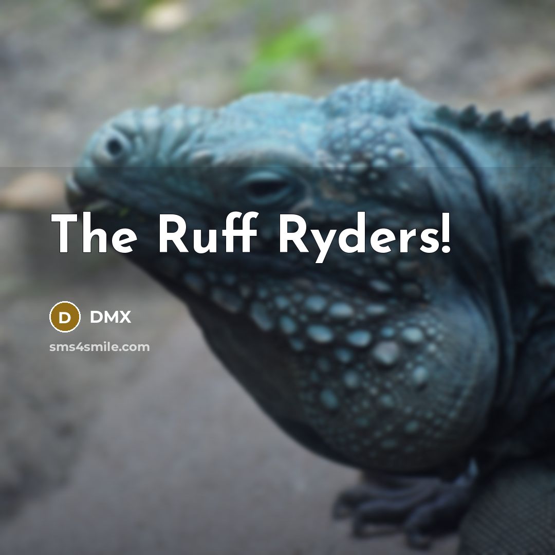 “The Ruff Ryders!…” quote by Dmx