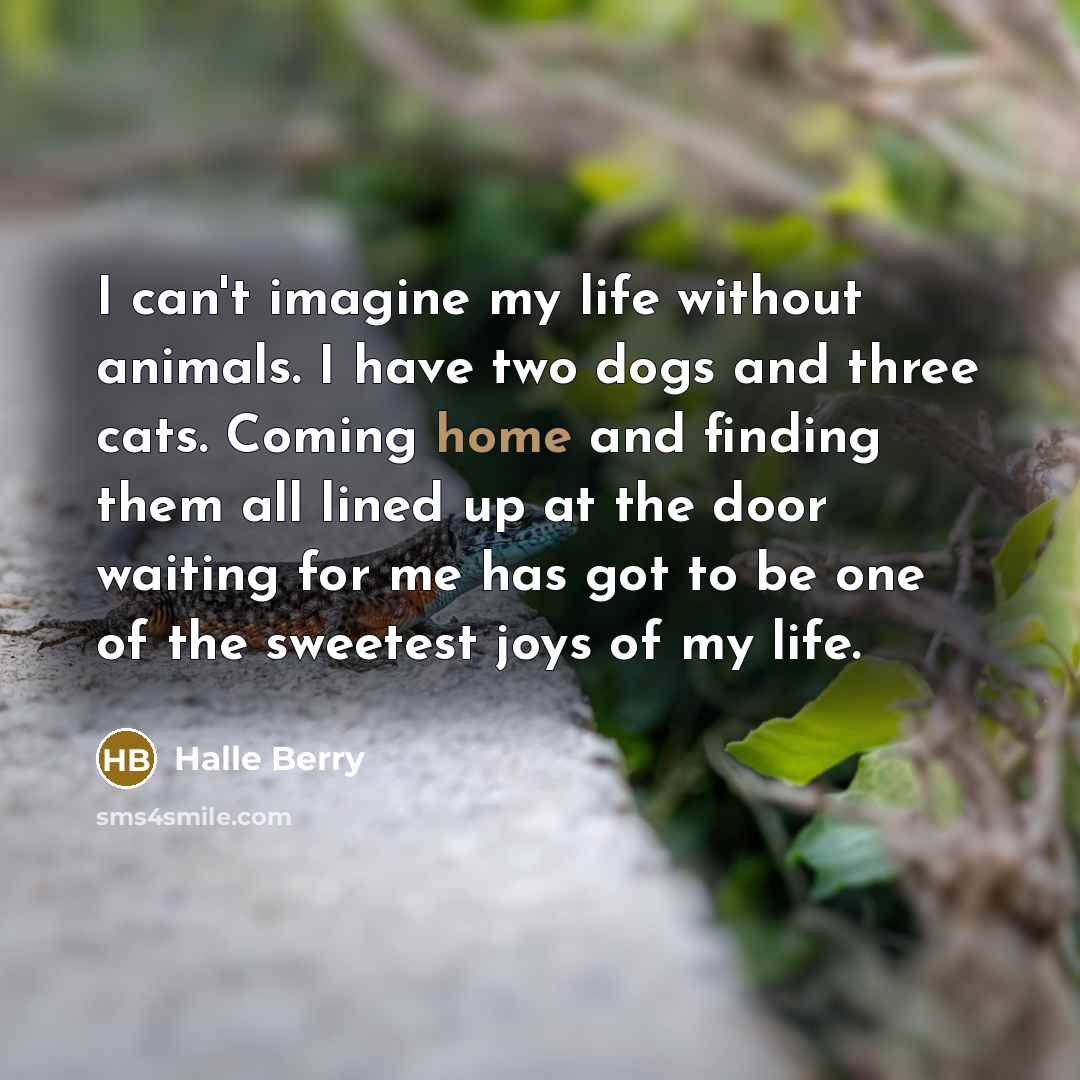 “I can't imagine my life without animals. I have two…” quote by Halle Berry