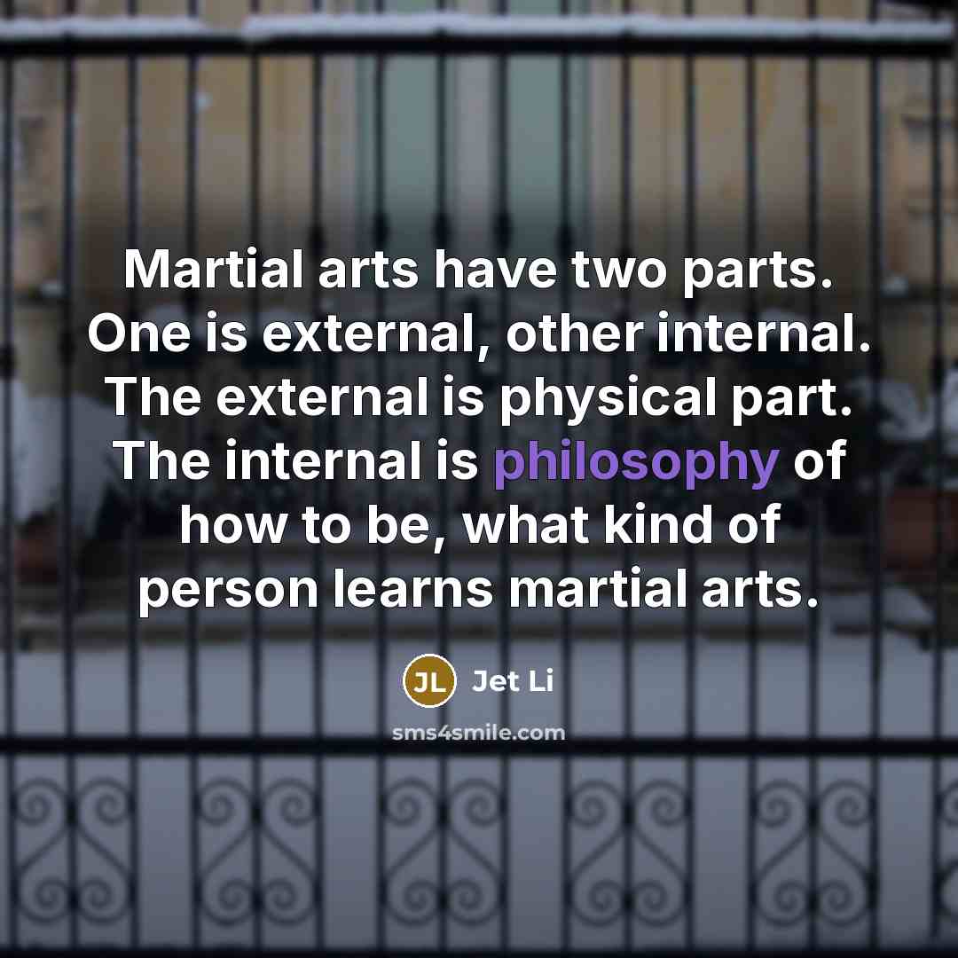 “Martial arts have two parts. One is external, other internal.…” quote by Jet Li