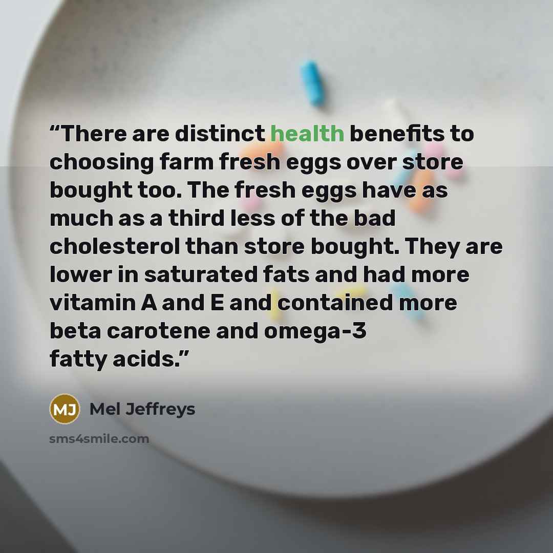 “There are distinct health benefits to choosing farm fresh eggs over store bought too. The fresh eggs have as much as a third less of the bad cholesterol than store bought. They are lower in saturated fats and had more vitamin A and E and contained more beta carotene and omega-3 fatty acids.” quote by Mel Jeffreys