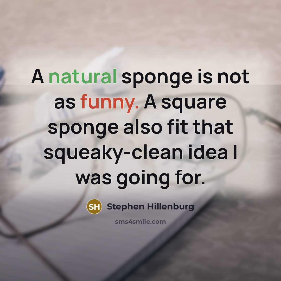“A natural sponge is not as funny. A square sponge…” quote by Stephen Hillenburg