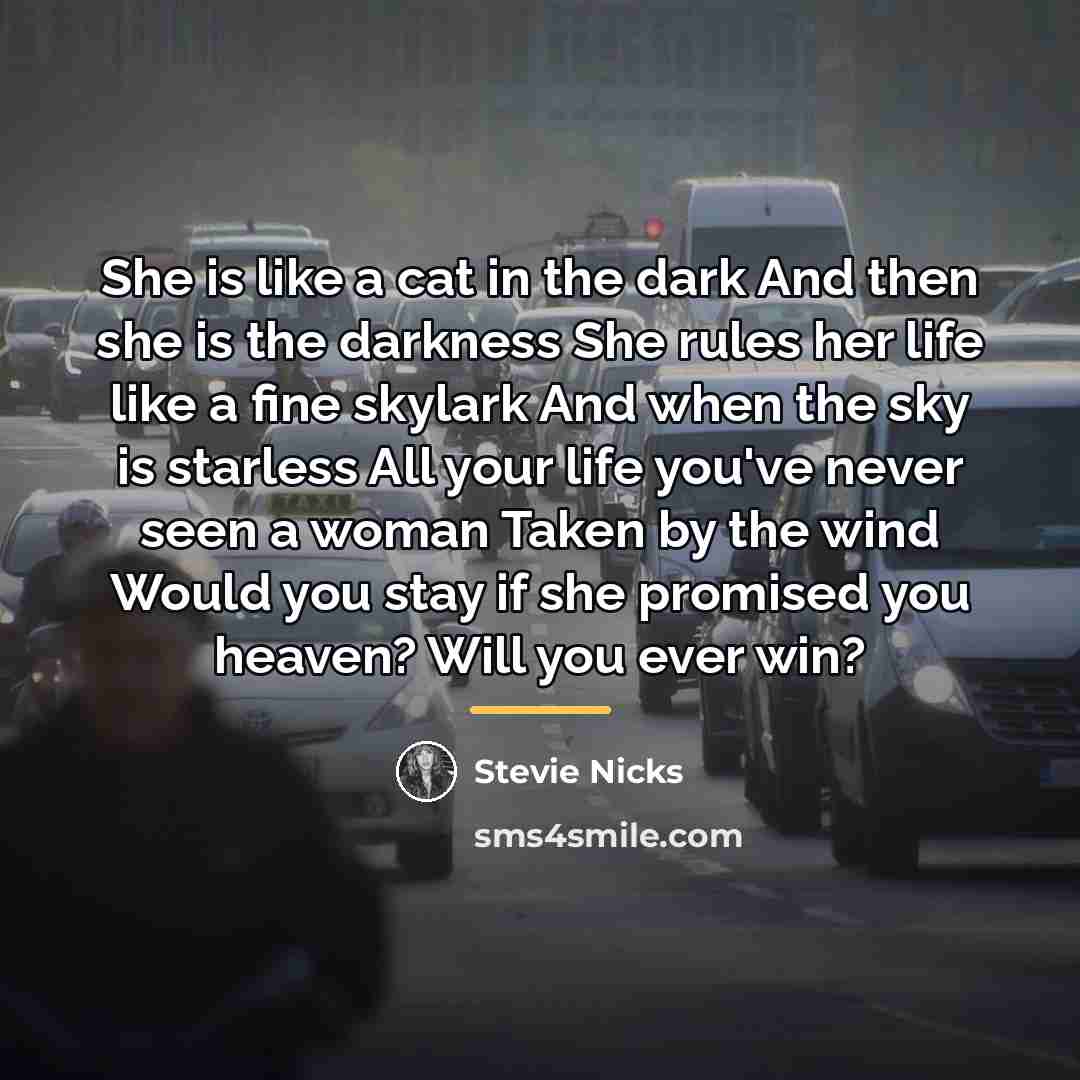 “She is like a cat in the dark And then…” quote by Stevie Nicks