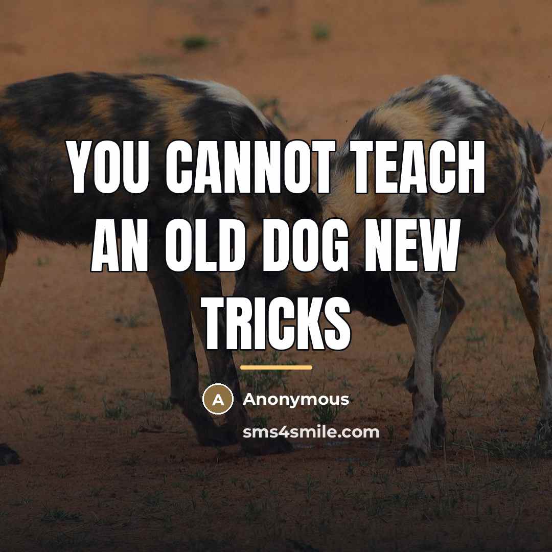 “You cannot teach an old dog new tricks…” quote by Anonymous