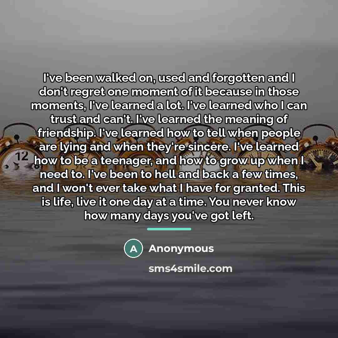 “I've been walked on, used and forgotten and I don't…” quote by Anonymous