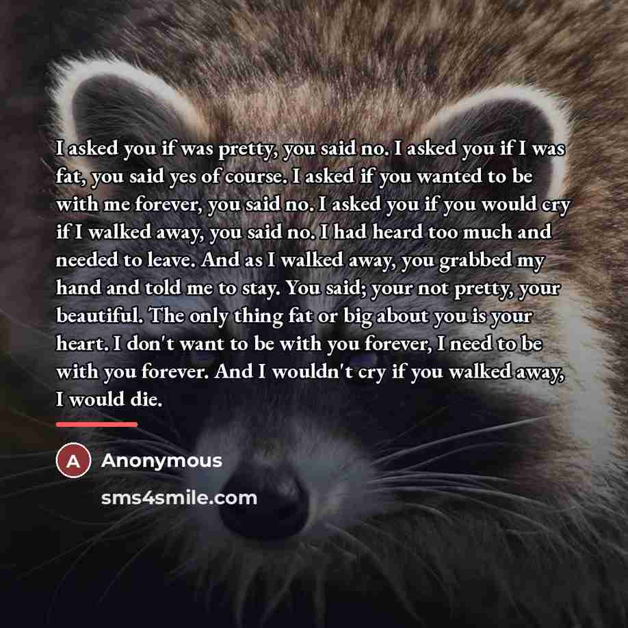“I asked you if was pretty, you said no. I…” quote by Anonymous