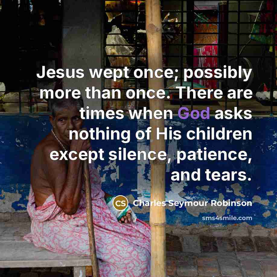 “Jesus wept once; possibly more than once. There are times…” quote by Charles Seymour Robinson