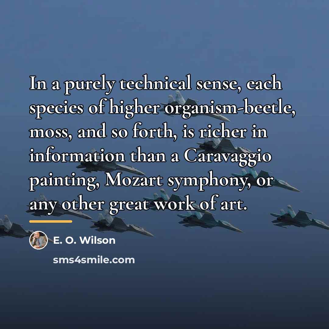 “In a purely technical sense, each species of higher organism-beetle,…” quote by E. O. Wilson