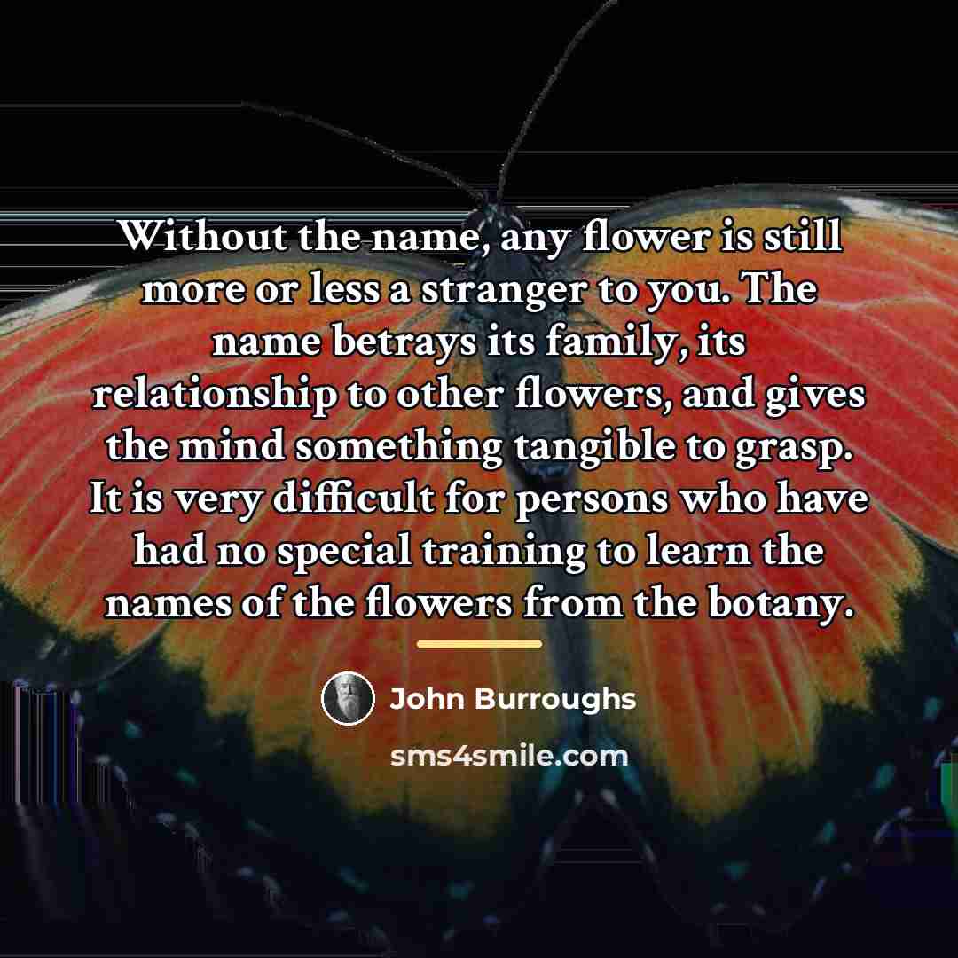 “Without the name, any flower is still more or less…” quote by John Burroughs