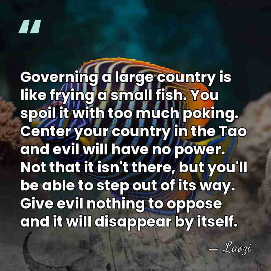 Governing a large country is like frying a small fish. You spoil&hellip; - Laozi