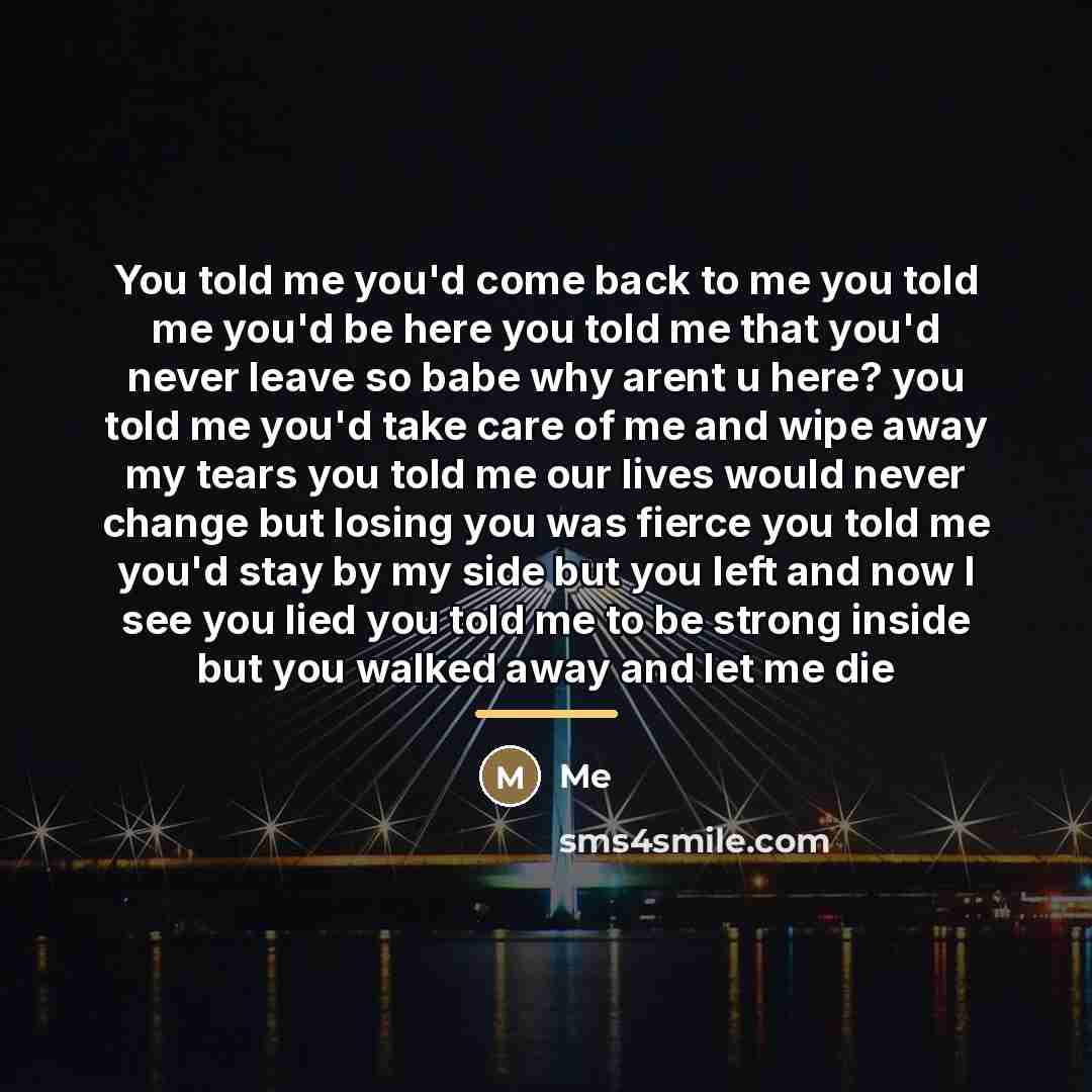 “You told me you'd come back to me you told…” quote by Me