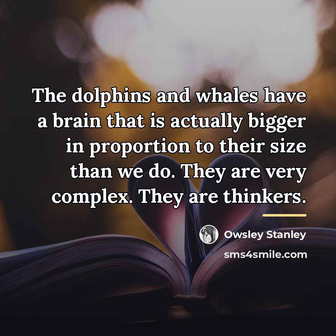 “The dolphins and whales have a brain that is actually…” quote by Owsley Stanley