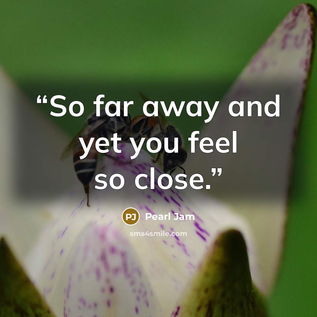 “So far away and yet you feel so close.” quote by Pearl Jam