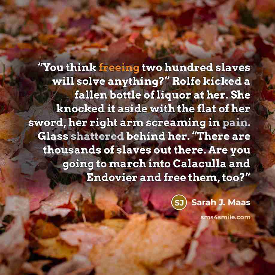 “You think freeing two hundred slaves will solve anything?” Rolfe kicked a fallen bottle of liquor at her. She knocked it aside with the flat of her sword, her right arm screaming in pain. Glass shattered behind her. “There are thousands of slaves out there. Are you going to march into Calaculla…” quote by Sarah J. Maas