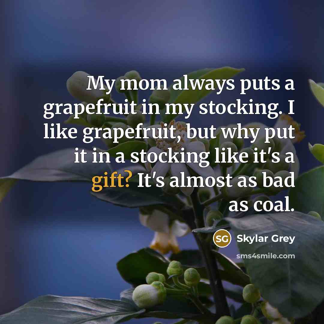 “My mom always puts a grapefruit in my stocking. I…” quote by Skylar Grey