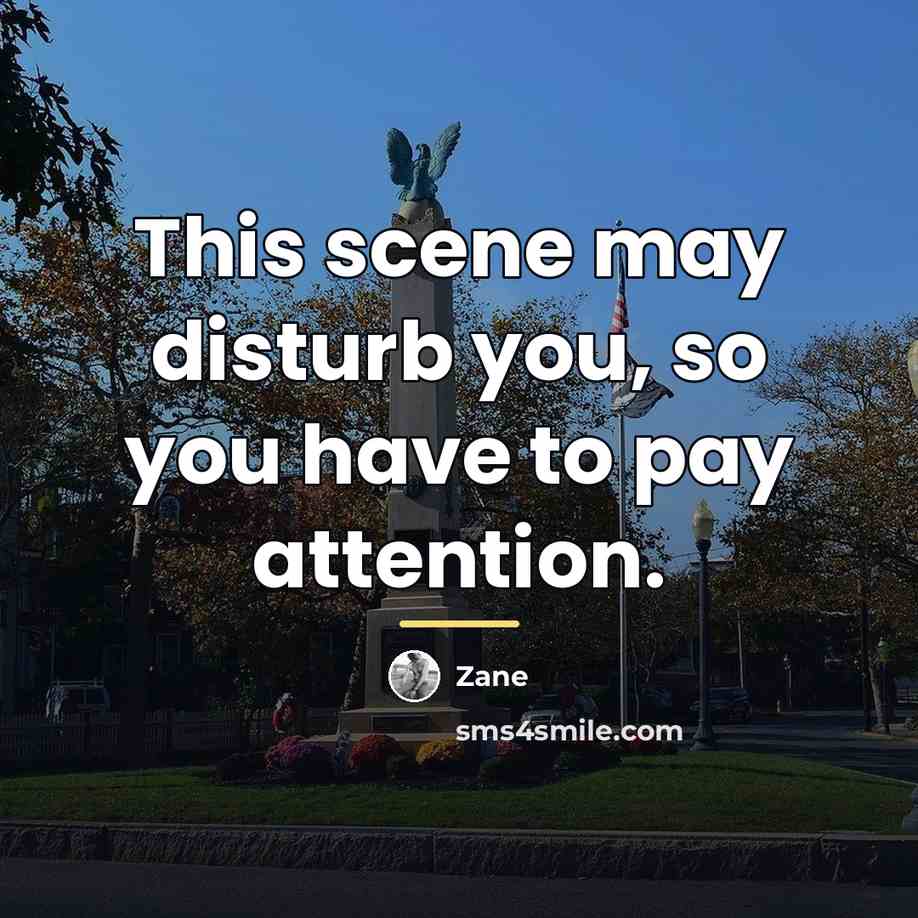 “This scene may disturb you, so you have to pay…” quote by Zane