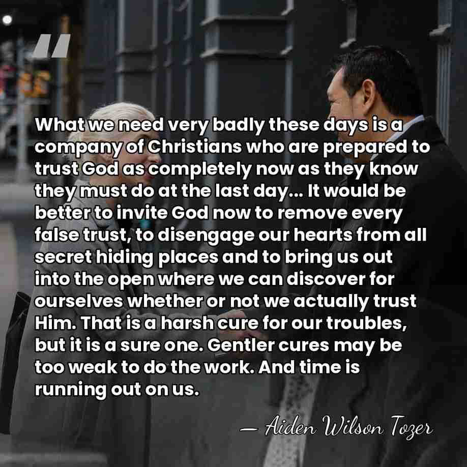 What we need very badly these days is a company of Christians&hellip; - Aiden Wilson Tozer