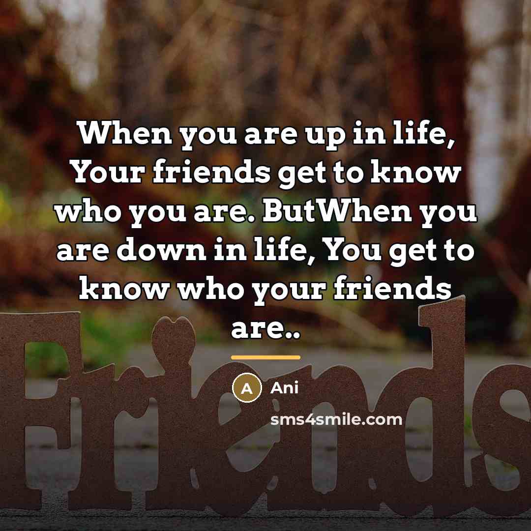 “When you are up in life, Your friends get to…” quote by Ani