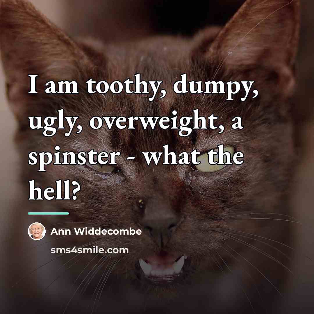 “I am toothy, dumpy, ugly, overweight, a spinster - what…” quote by Ann Widdecombe