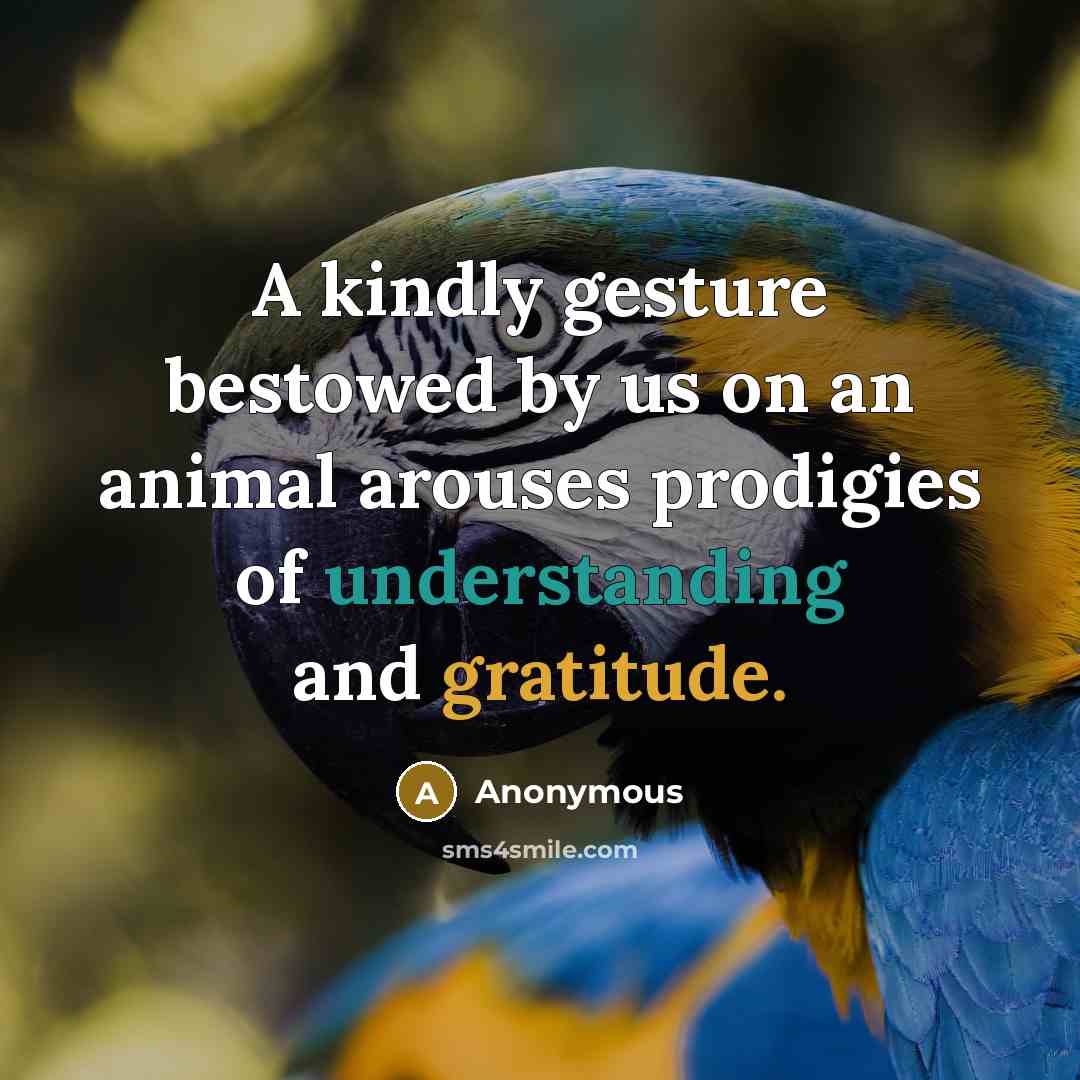 “A kindly gesture bestowed by us on an animal arouses…” quote by Anonymous