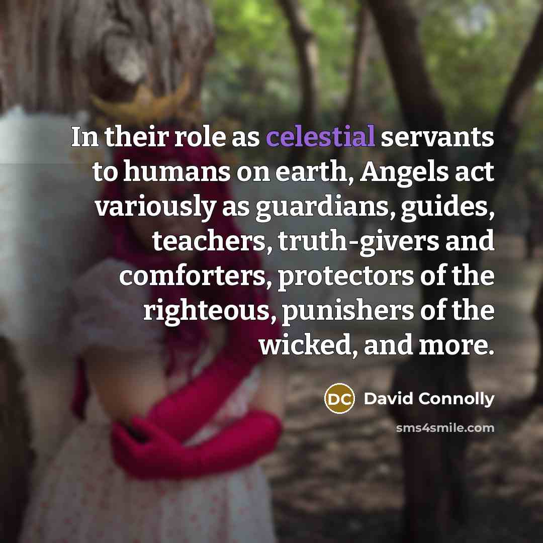 “In their role as celestial servants to humans on earth,…” quote by David Connolly