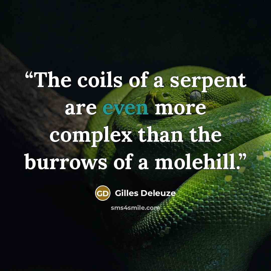“The coils of a serpent are even more complex than the burrows of a molehill.” quote by Gilles Deleuze