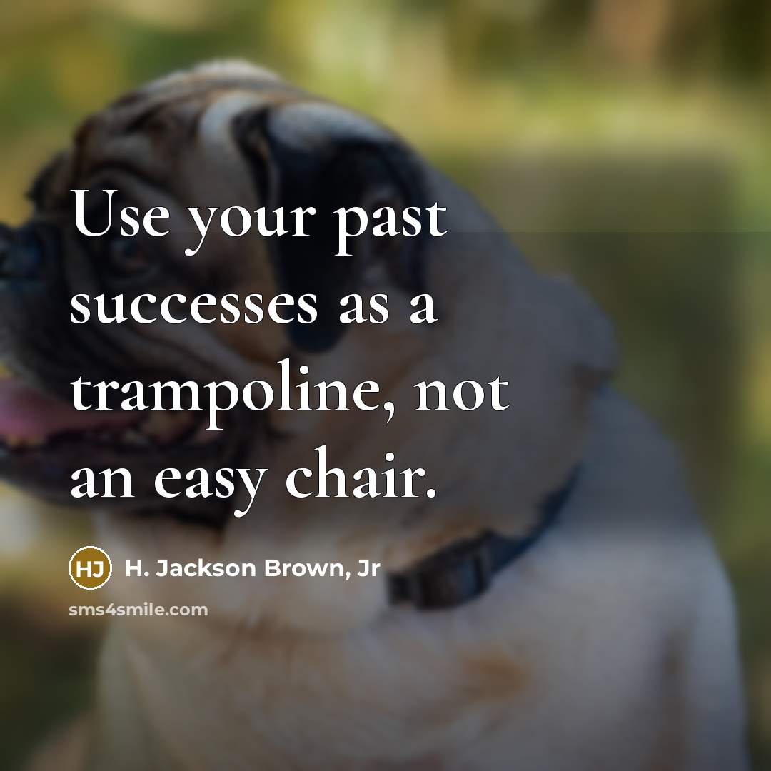 “Use your past successes as a trampoline, not an easy…” quote by H. Jackson Brown, Jr