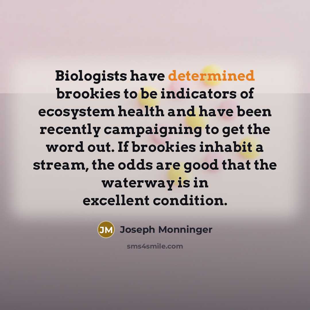 “Biologists have determined brookies to be indicators of ecosystem health…” quote by Joseph Monninger