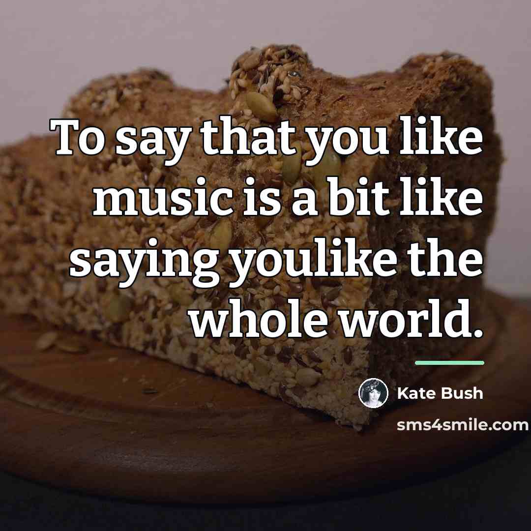 “To say that you like music is a bit like…” quote by Kate Bush