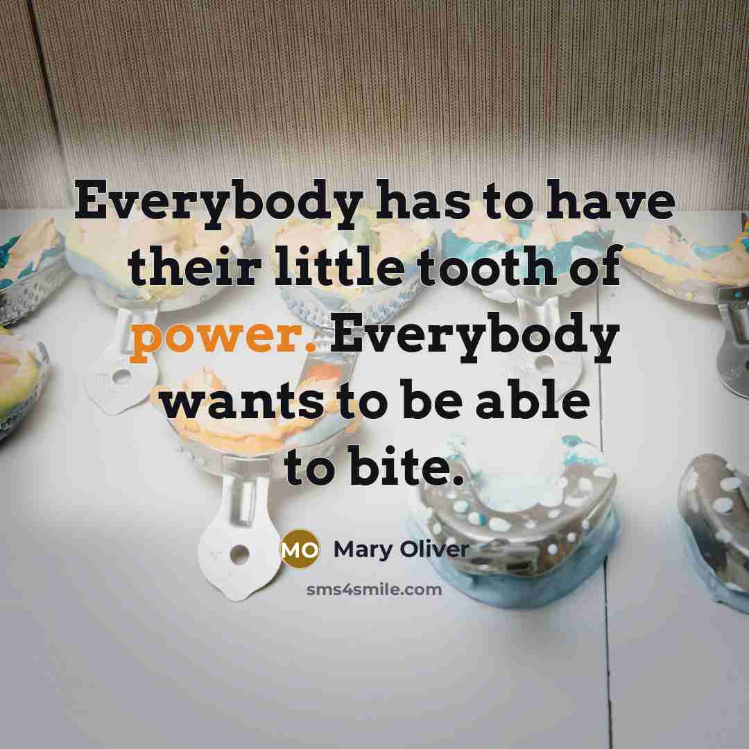 “Everybody has to have their little tooth of power. Everybody…” quote by Mary Oliver