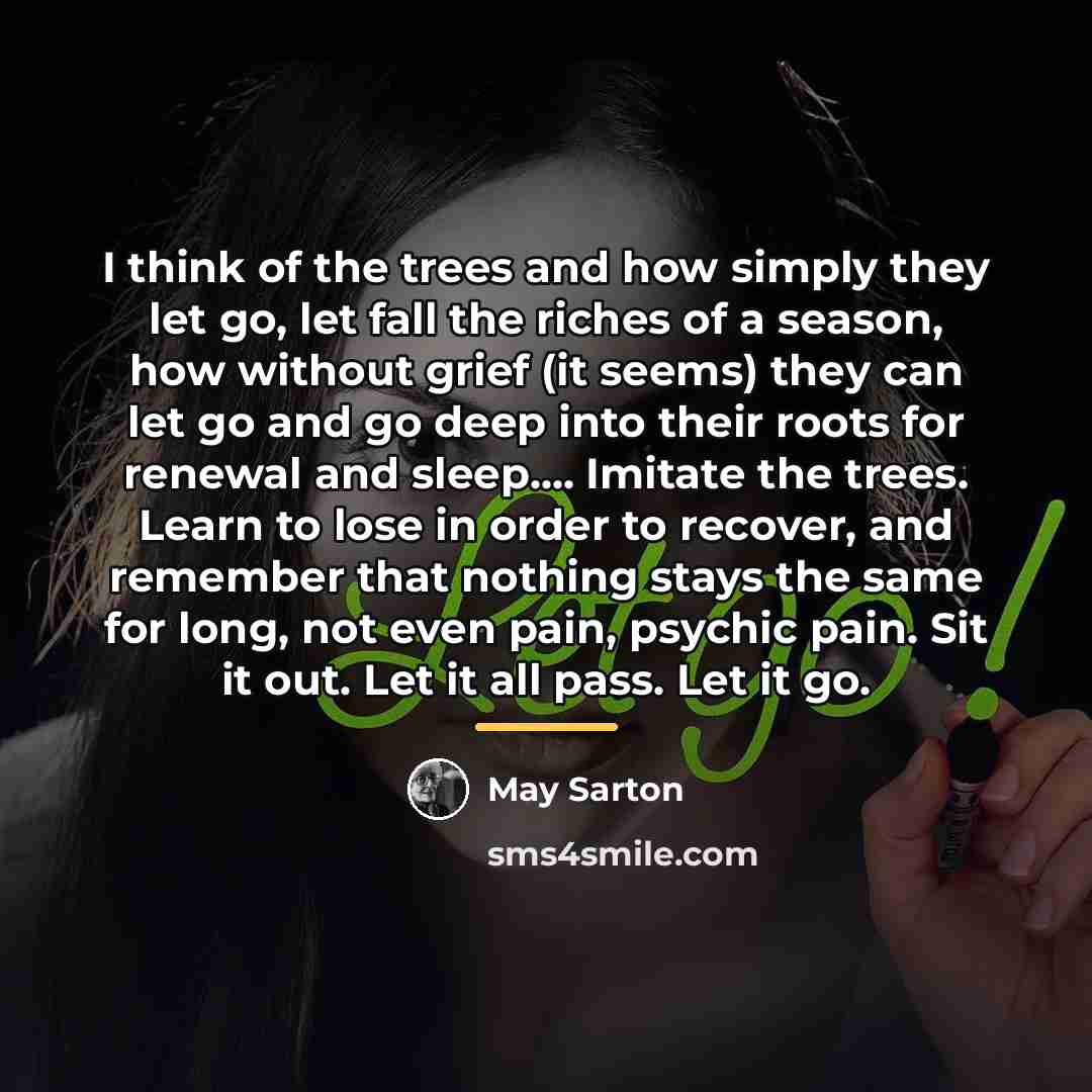 “I think of the trees and how simply they let…” quote by May Sarton