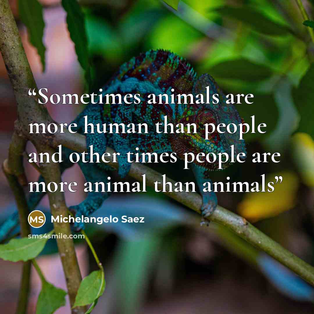 “Sometimes animals are more human than people and other times people are more animal than animals” quote by Michelangelo Saez