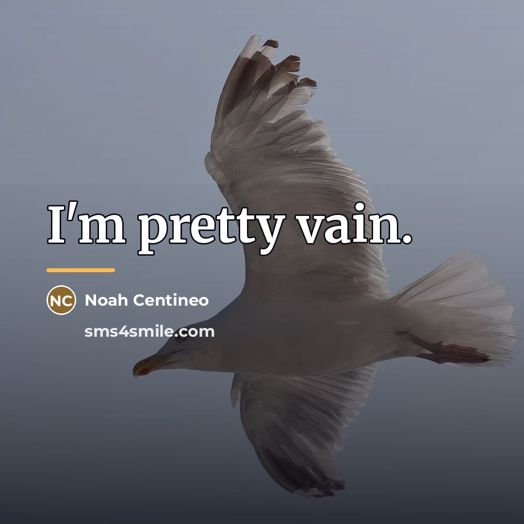 “I'm pretty vain.…” quote by Noah Centineo