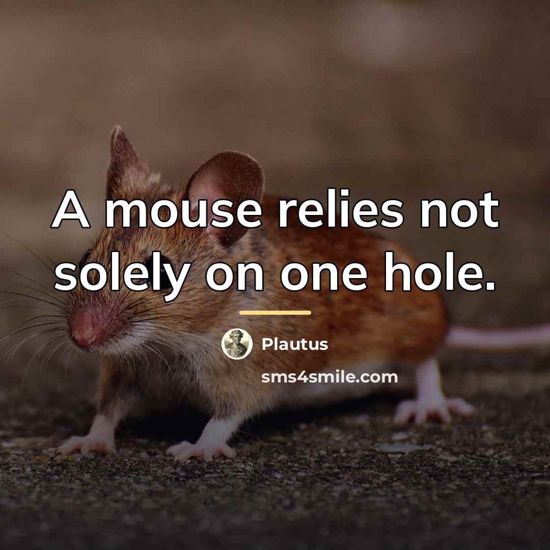 “A mouse relies not solely on one hole.…” quote by Plautus