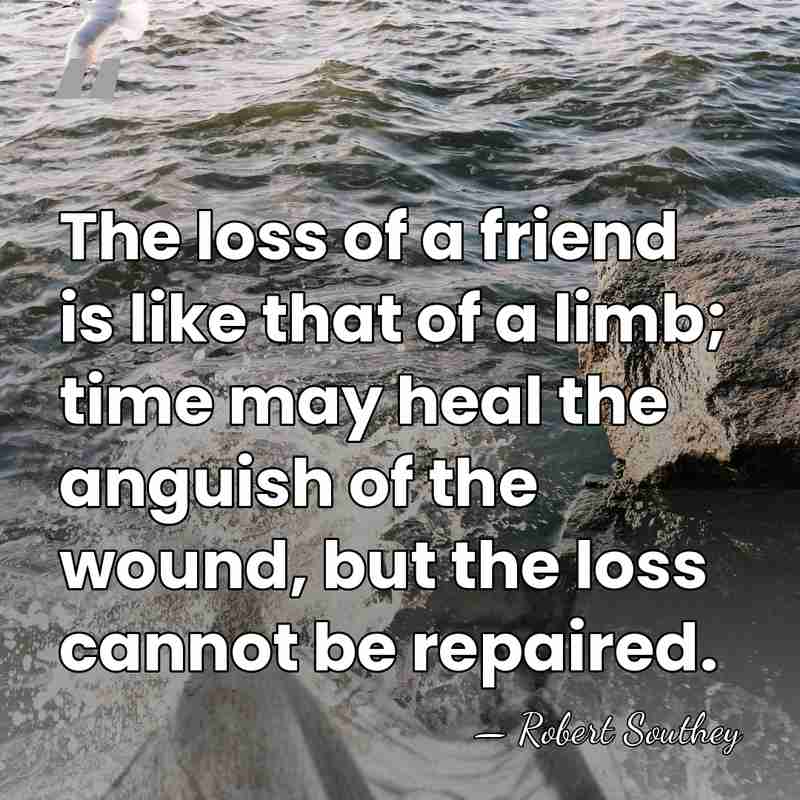 The loss of a friend is like that of a limb; time&hellip; - Robert Southey