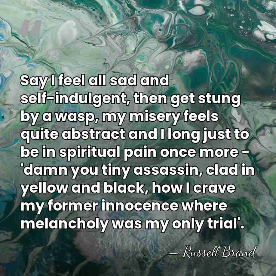 Say I feel all sad and self-indulgent, then get stung by a&hellip; - Russell Brand