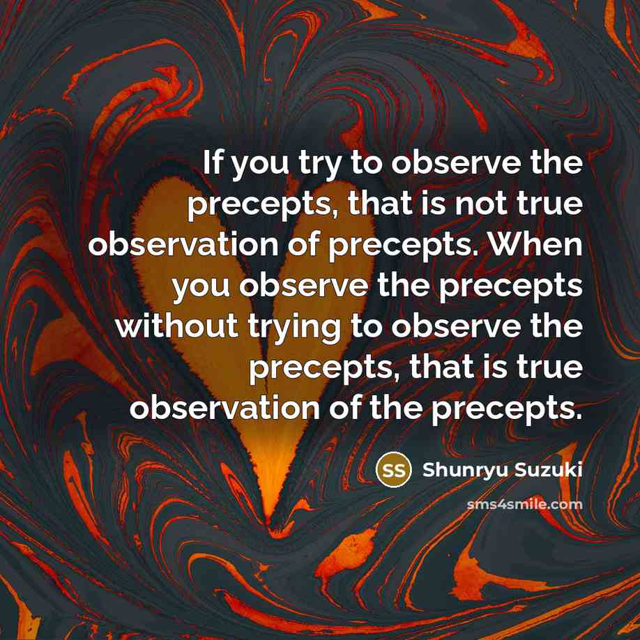 “If you try to observe the precepts, that is not…” quote by Shunryu Suzuki