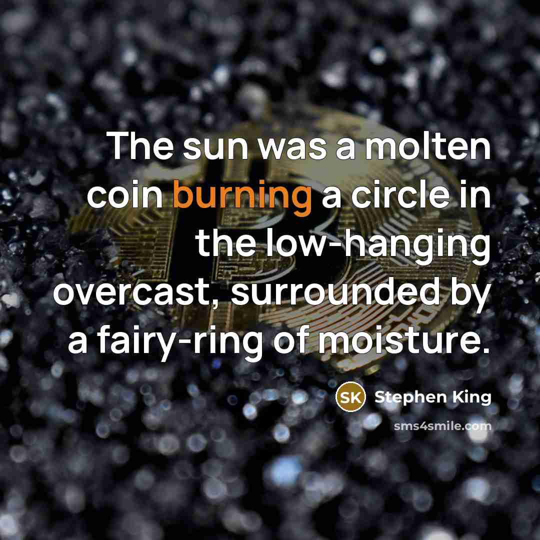 “The sun was a molten coin burning a circle in…” quote by Stephen King