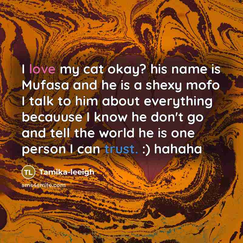 “I love my cat okay? his name is Mufasa and he is a shexy mofo I talk to him about everything becauuse I know he don't go and tell the world he is one person I can trust. :) hahaha” quote by Tamika-leeigh