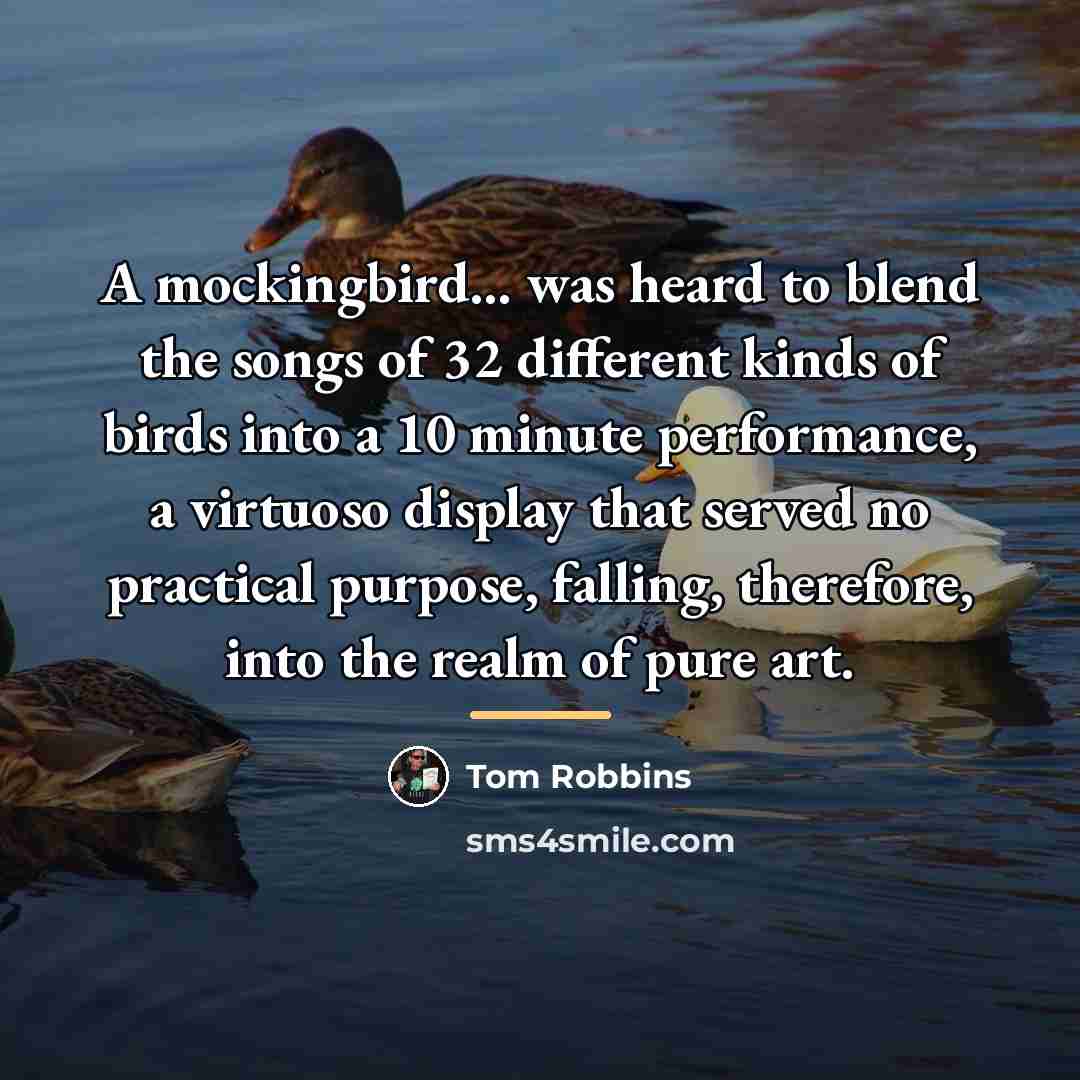 “A mockingbird... was heard to blend the songs of 32…” quote by Tom Robbins