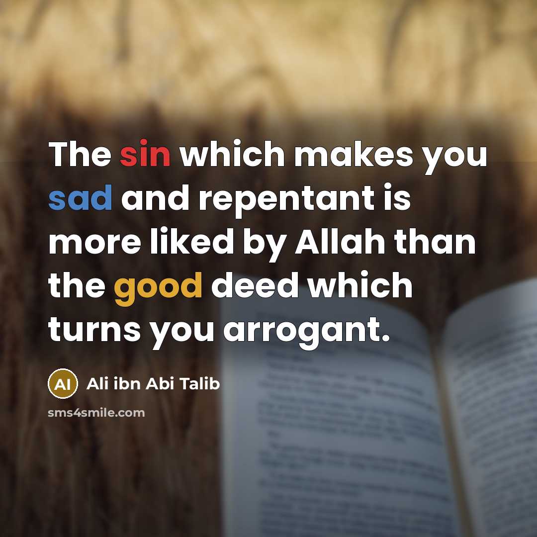 “The sin which makes you sad and repentant is more…” quote by Ali ibn Abi Talib