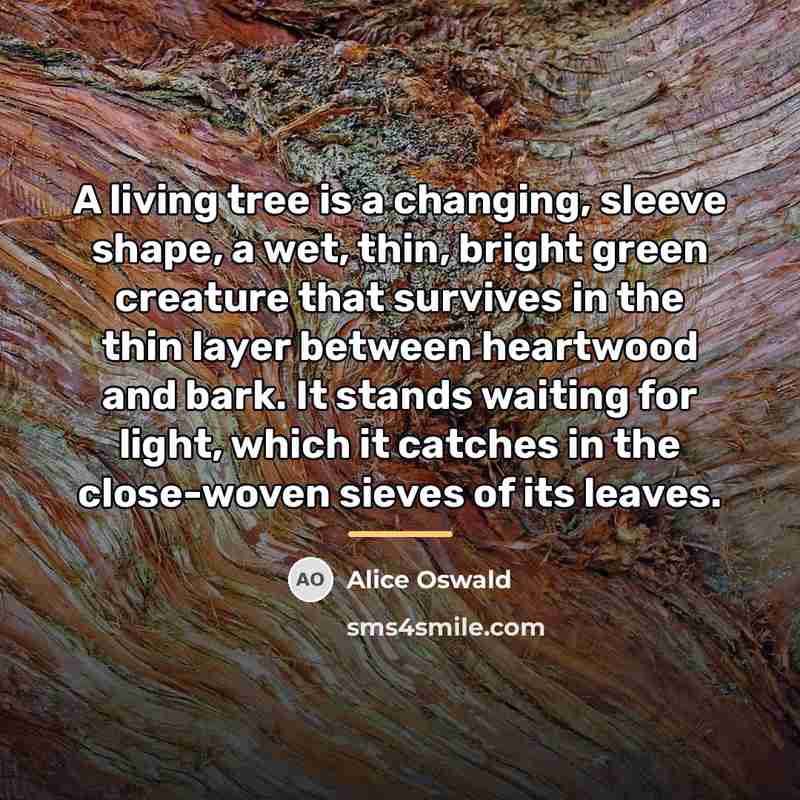 “A living tree is a changing, sleeve shape, a wet,…” quote by Alice Oswald