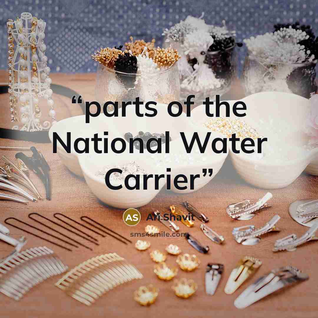 “parts of the National Water Carrier” quote by Ari Shavit