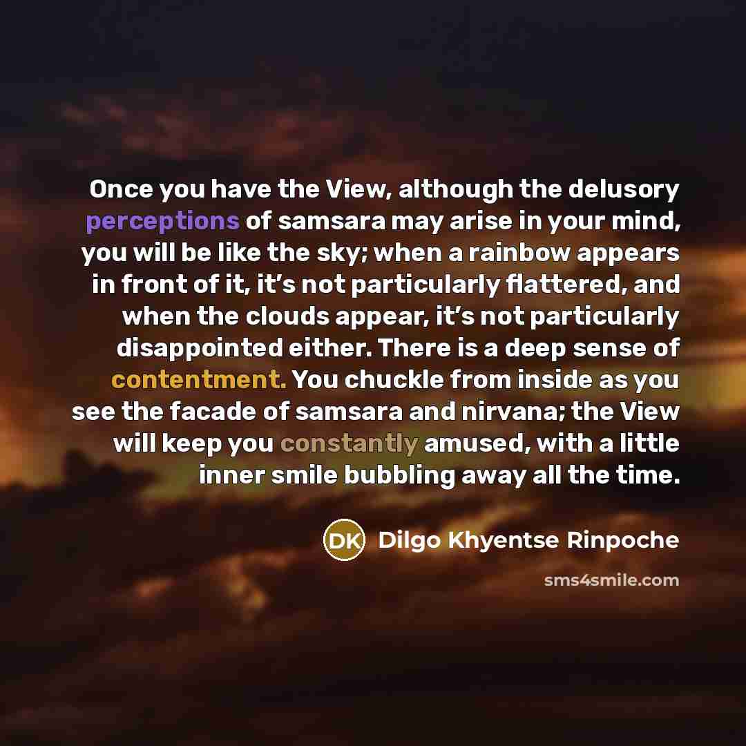 “Once you have the View, although the delusory perceptions of…” quote by Dilgo Khyentse Rinpoche