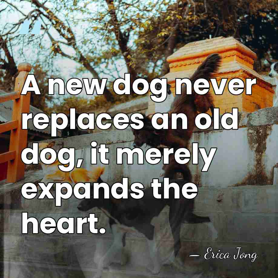 A new dog never replaces an old dog, it merely expands the&hellip; - Erica Jong