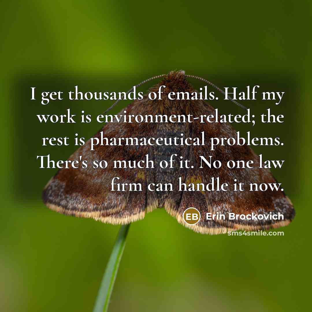 “I get thousands of emails. Half my work is environment-related;…” quote by Erin Brockovich
