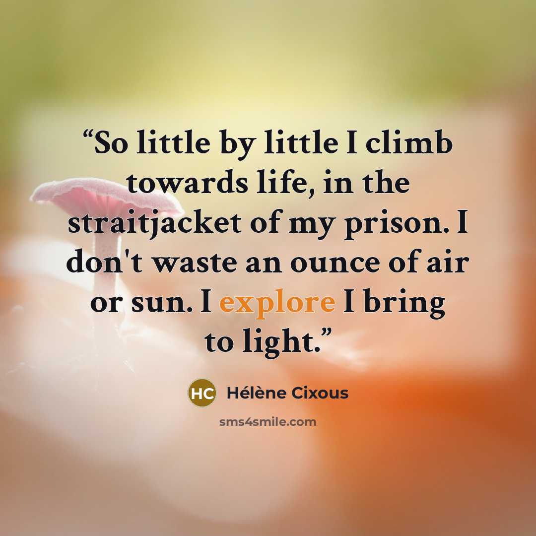 “So little by little I climb towards life, in the straitjacket of my prison. I don't waste an ounce of air or sun. I explore I bring to light.” quote by Hélène Cixous